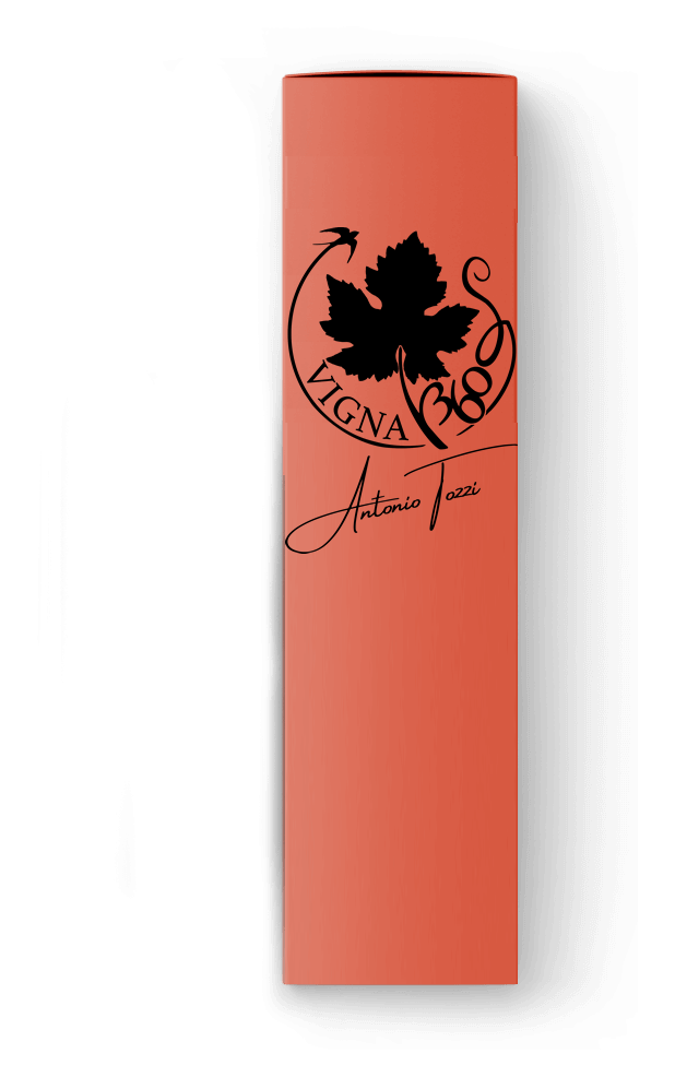 scatola_rossa_logo